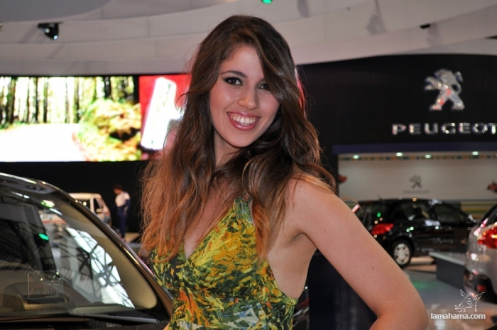 Brazilian Booth Babes from Auto Show - Pictures nr 10