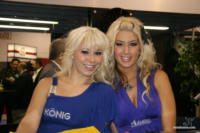 Brazilian Booth Babes from Auto Show - Pictures nr 27