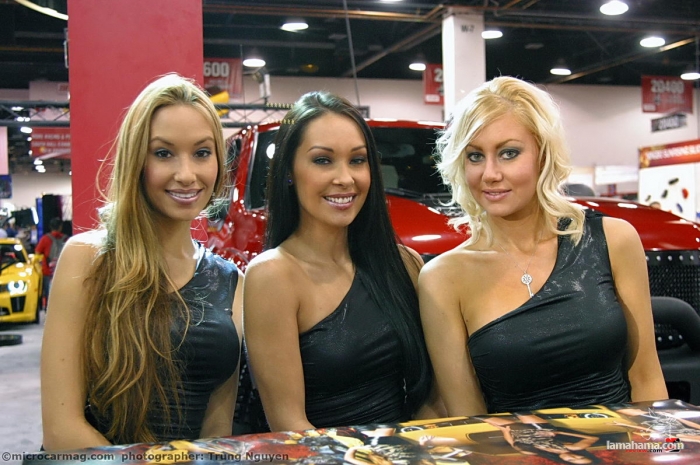 Brazilian Booth Babes from Auto Show - Pictures nr 28
