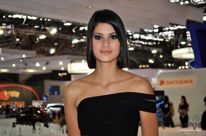 Brazilian Booth Babes from Auto Show - Pictures nr 4