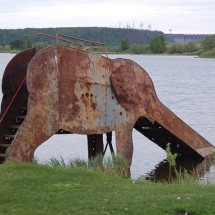Codzienny Strzał Fotek — 13