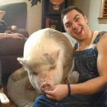 Codzienny Strzał Fotek — 47