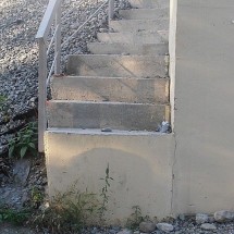 Codzienny Strzał Fotek — 39