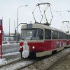 Codzienny Strzał Fotek — 36